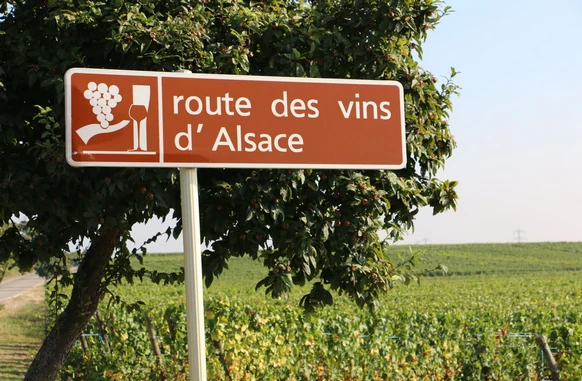 Vignobles d'Alsace en autocar