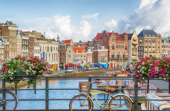 Amsterdam : excursion d'une journée en autocar