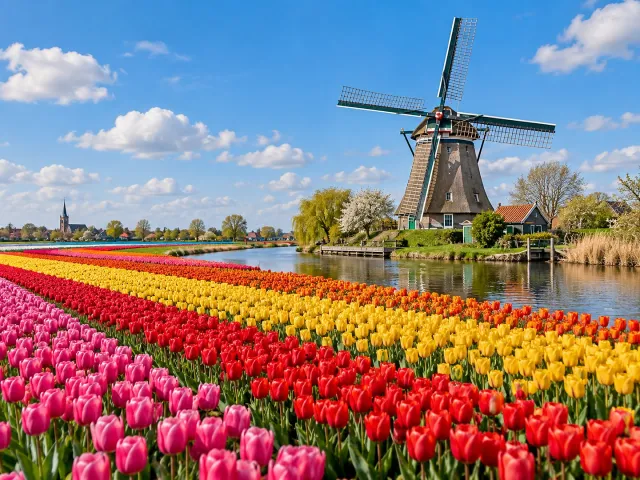 Photo 4 sur 8 – Keukenhof – Le grand jardin des tulipes